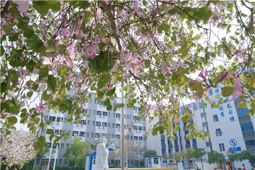 花园式校园绿道